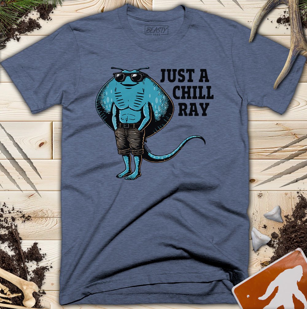 Just A Chill Ray T-Shirt